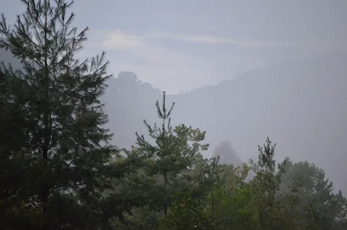 Mountain Pass Campground Picture 6