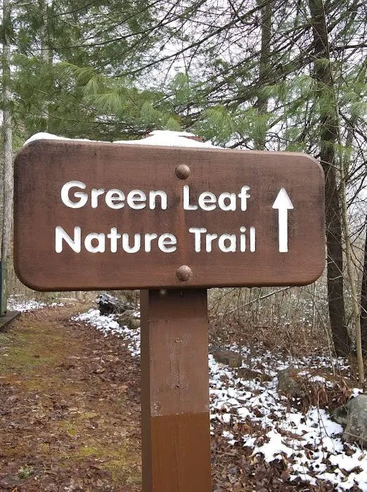 Cumberland Gap Wilderness Road Campground Picture 1