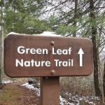 Cumberland Gap Wilderness Road Campground