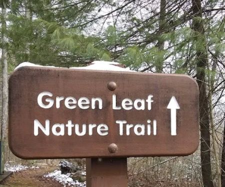 Cumberland Gap Wilderness Road Campground