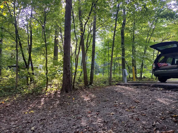 Cumberland Gap Wilderness Road Campground Picture 6