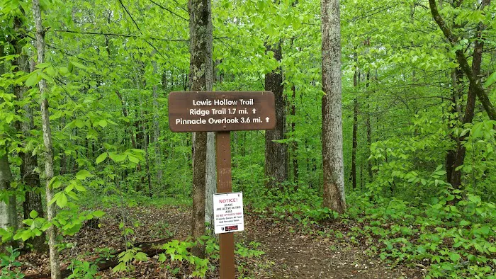 Cumberland Gap Wilderness Road Campground Picture 9