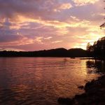 Greenlee of FALL CREEK