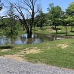 Webb's Lakefront Campground