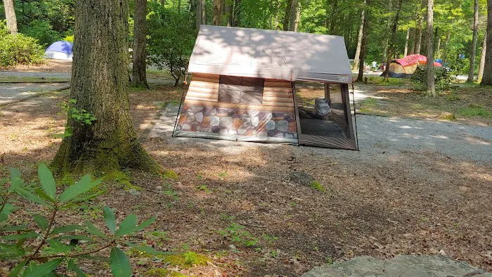 Old Forge Campground Picture 6