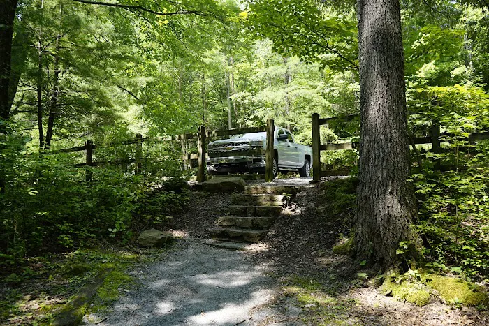 Old Forge Campground Picture 2