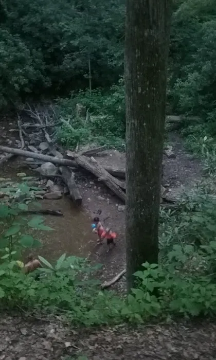 Old Forge Campground Picture 4