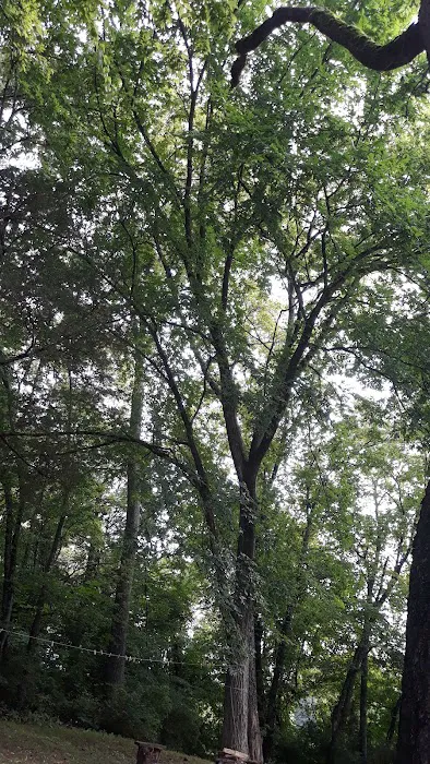 Cherokee Park Campground Picture 8