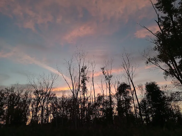 Lake St Clair Metropark campgrounds Picture 8