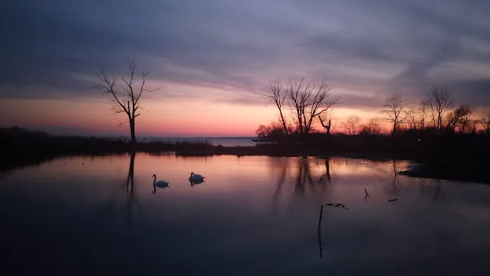 Lake St Clair Metropark campgrounds Picture 5