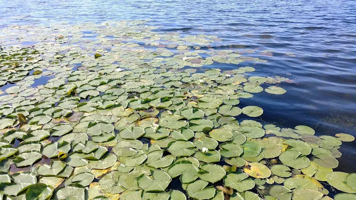 Schnable Lake Family Campground Picture 9