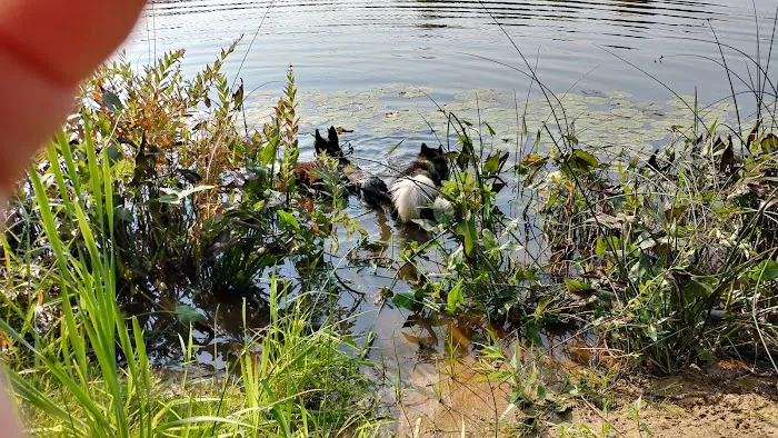 Schnable Lake Family Campground Picture 4