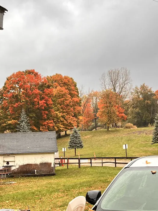 Miller Lake Campground Picture 3