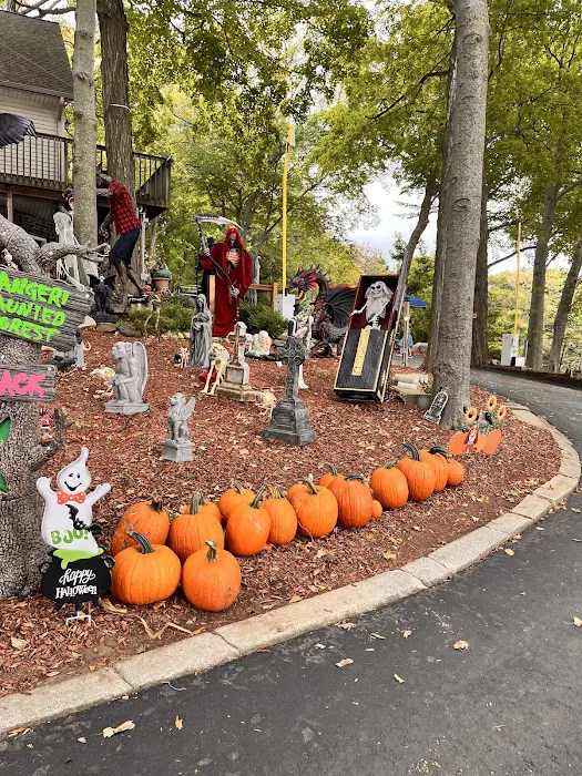 Miller Lake Campground Picture 4