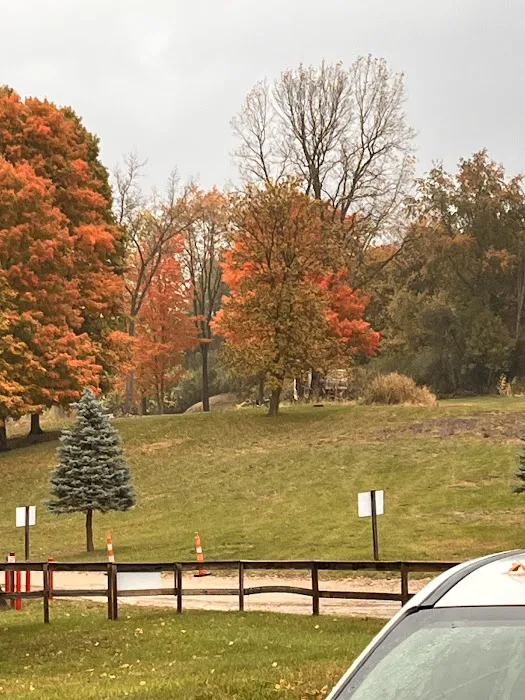 Miller Lake Campground Picture 7