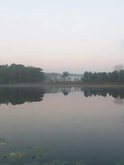 Daisy Park Campground at Son-Life Camp Picture 4