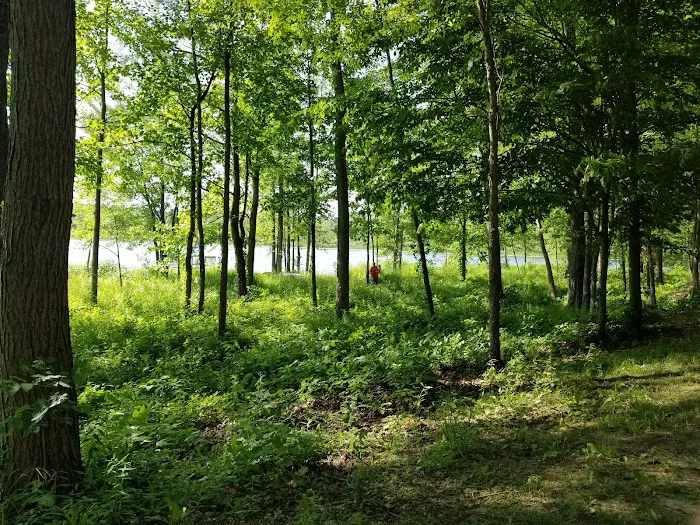 Daisy Park Campground at Son-Life Camp Picture 2