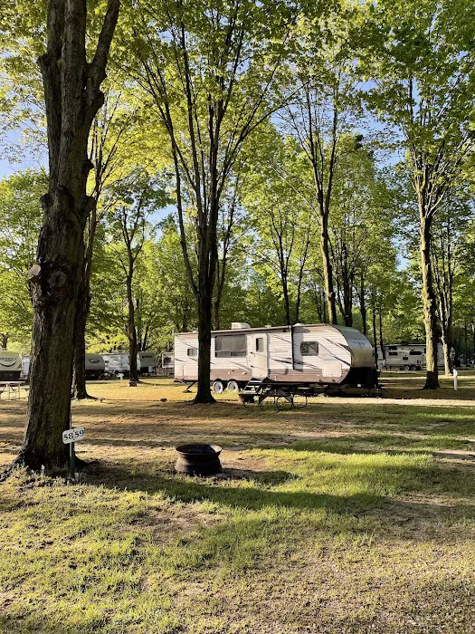 Forest Haven RV Park and Campground Picture 7