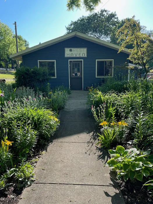 Forest Haven RV Park and Campground Picture 4