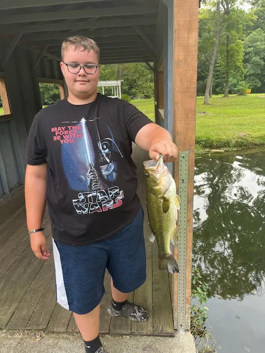 Forest Haven RV Park and Campground Picture 3