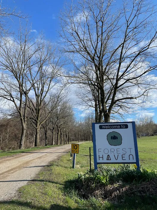 Forest Haven RV Park and Campground Picture 8