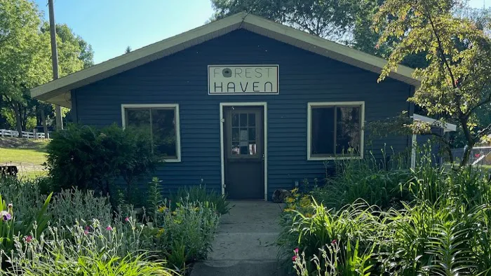 Forest Haven RV Park and Campground Picture 9