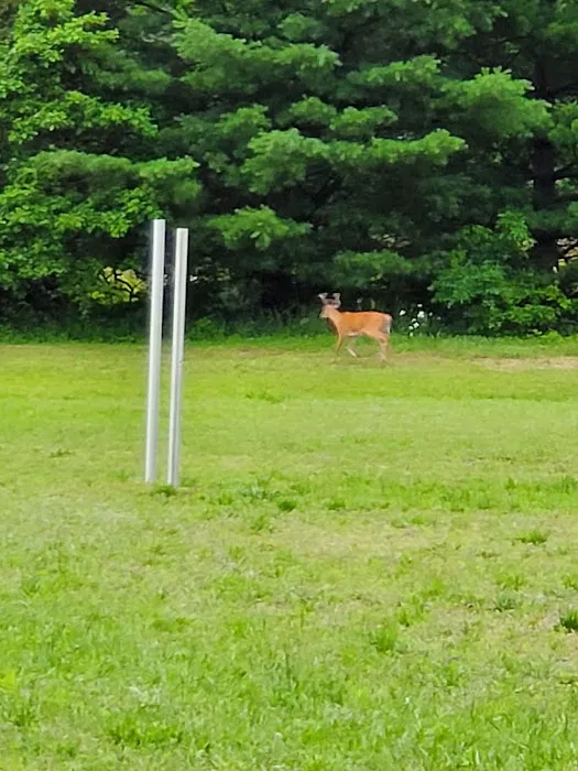 Oak Shores Campground Picture 10