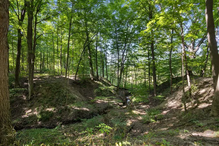 Brush Creek Campground Picture 5