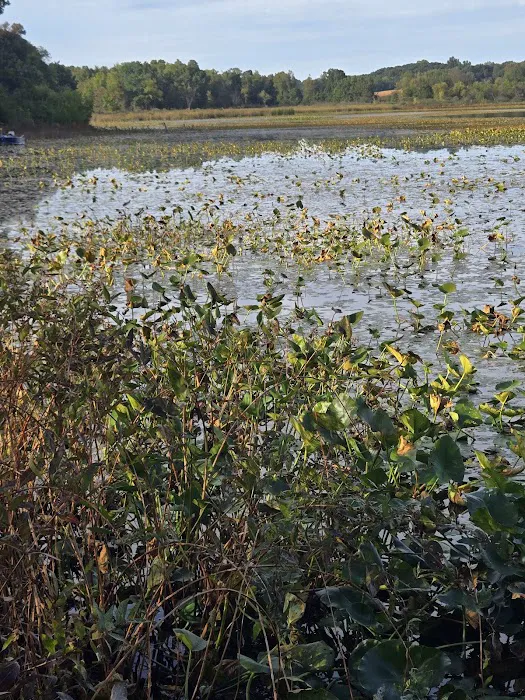 Rogers Resort Inc Picture 5