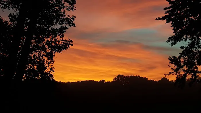 Rogers Resort Inc Picture 8