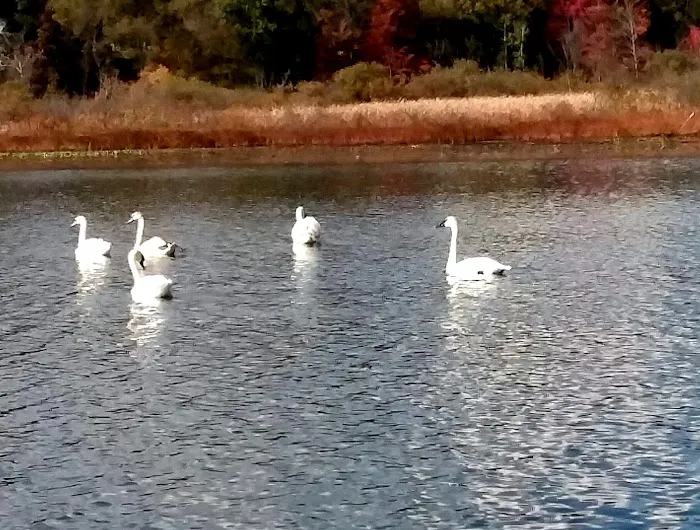 Rogers Resort Inc Picture 3