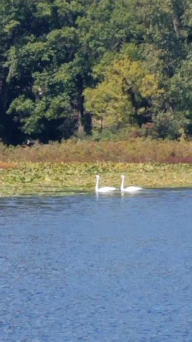 Rogers Resort Inc Picture 2