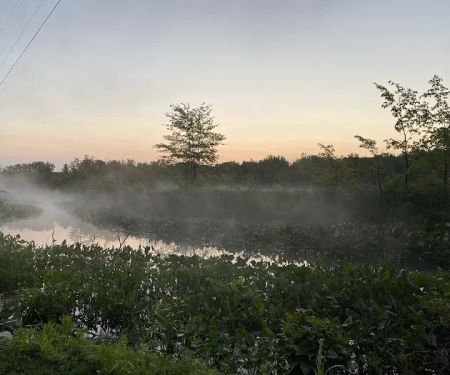 Scott Lake Campground