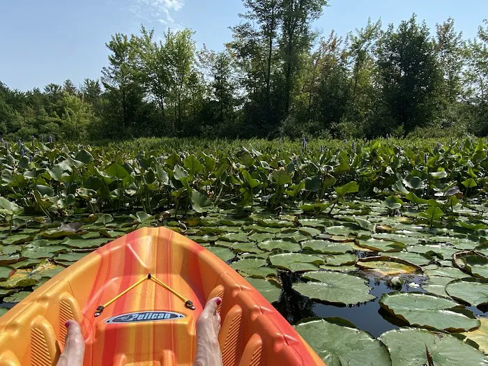 Scott Lake Campground Picture 7