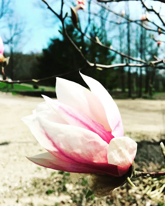 DUMONT LAKE FAMILY CAMPGROUND Picture 1