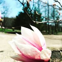 DUMONT LAKE FAMILY CAMPGROUND ico