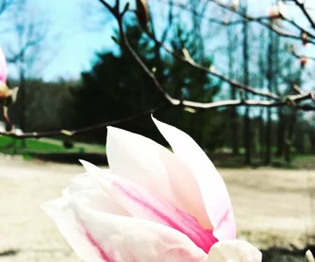 DUMONT LAKE FAMILY CAMPGROUND