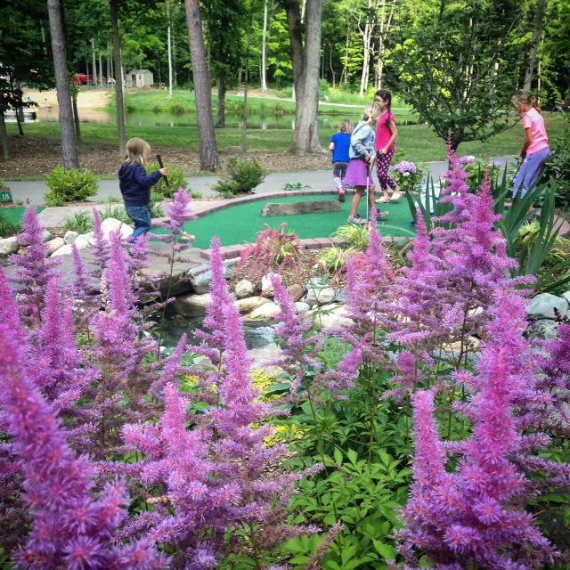 Tri-Ponds Family Camp Resort Picture 5