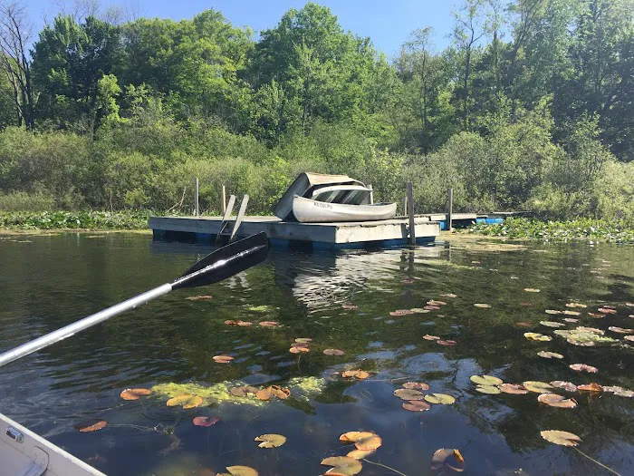 Roses Retreats Cabins & Campsites Picture 5