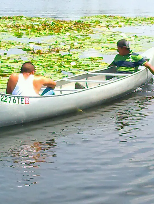 Roses Retreats Cabins & Campsites Picture 7