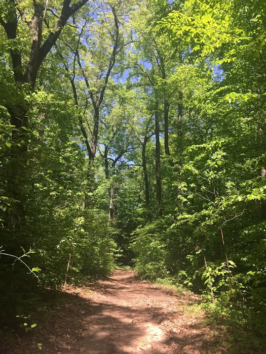 Roses Retreats Cabins & Campsites Picture 4