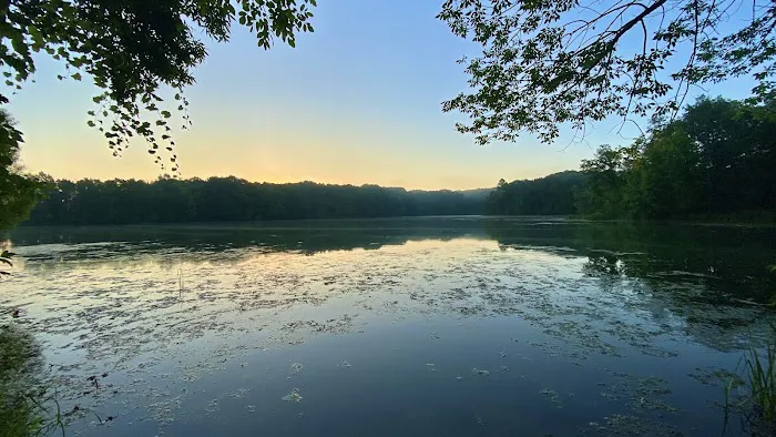 Ionia State Recreation Area Campground Picture 9