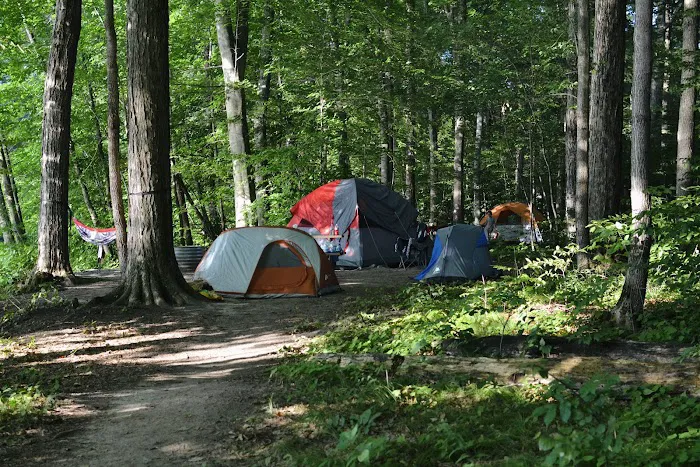 Ionia State Recreation Area Campground Picture 10