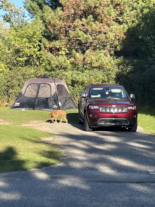 Ionia State Recreation Area Campground Picture 4