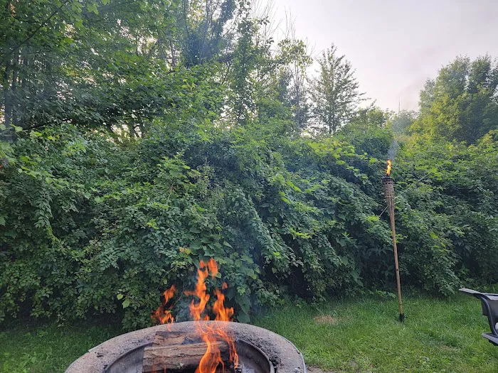 Ionia State Recreation Area Campground Picture 5