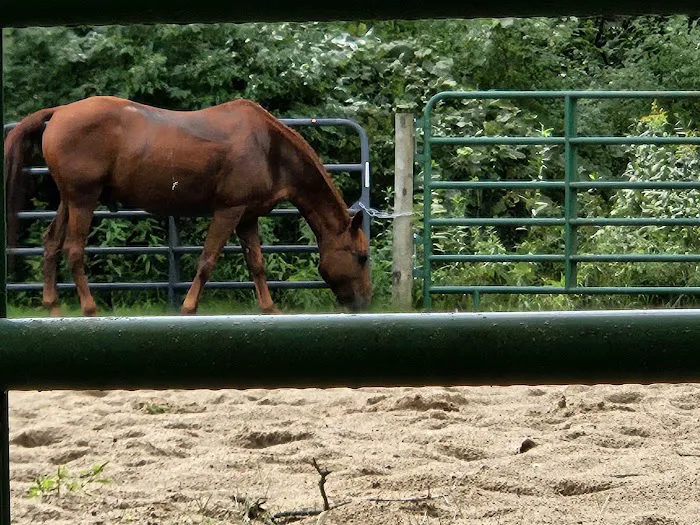 Ionia Equestrian-Rustic Picture 3