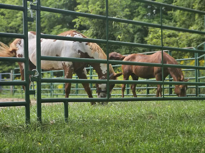 Ionia Equestrian-Rustic Picture 1