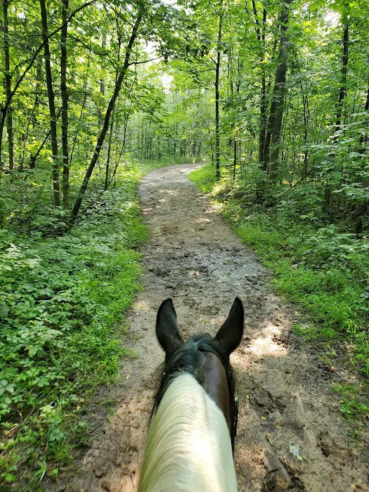 Ionia Equestrian-Rustic Picture 6
