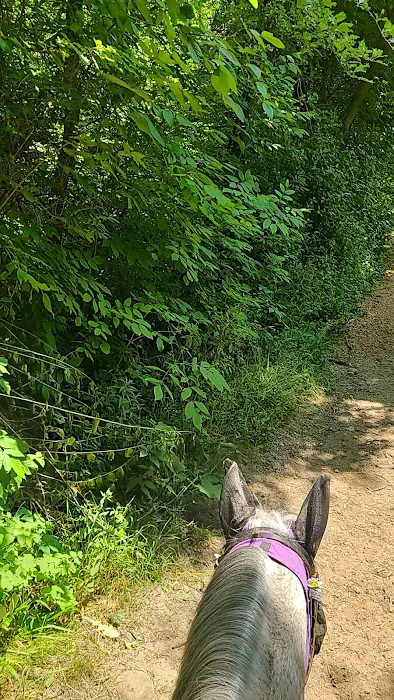 Ionia Equestrian-Rustic Picture 2