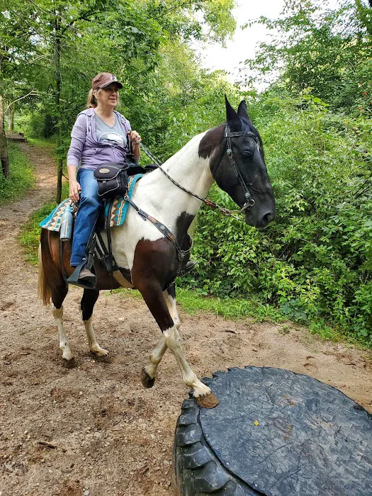Ionia Equestrian-Rustic Picture 7